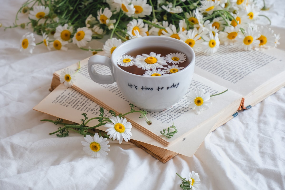 Melatonin and L-Theanine sleep formula
